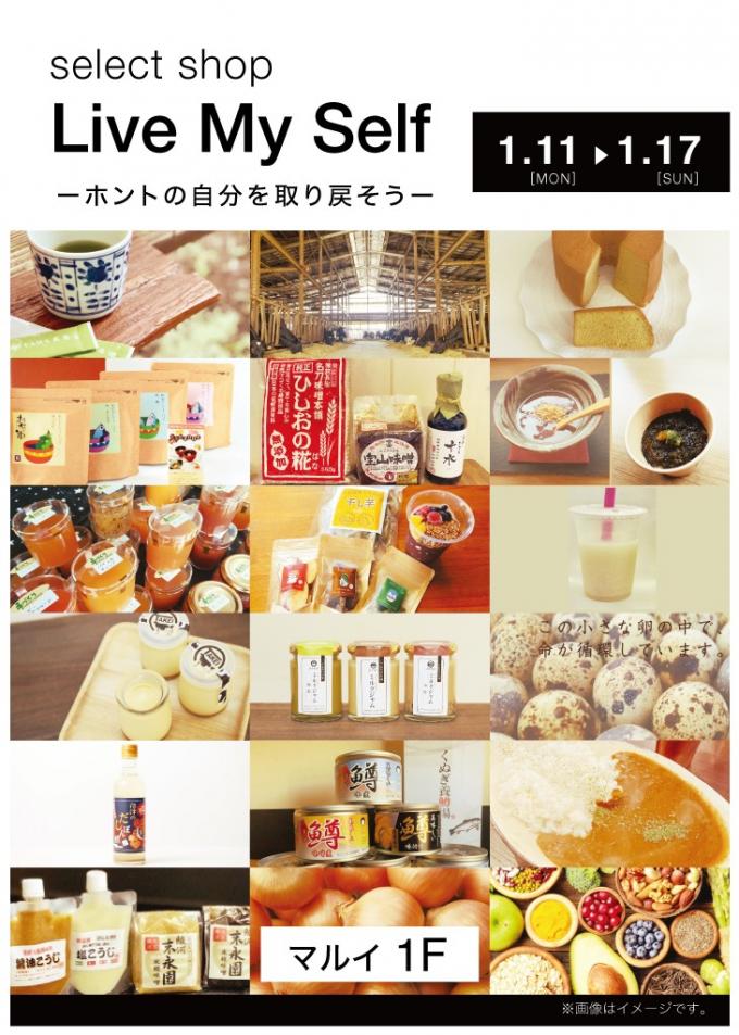 イメージ1