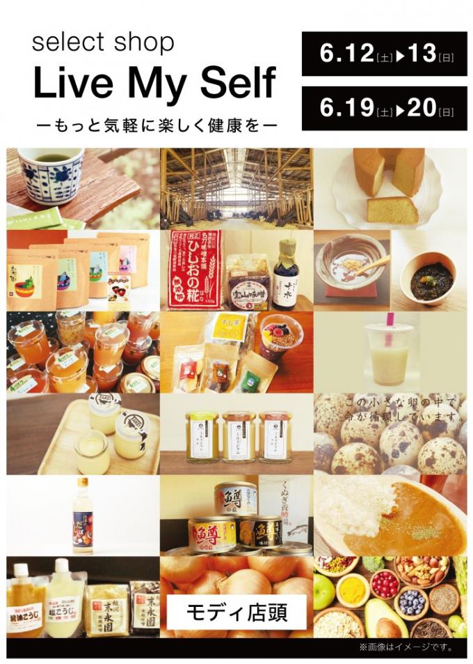 イメージ1