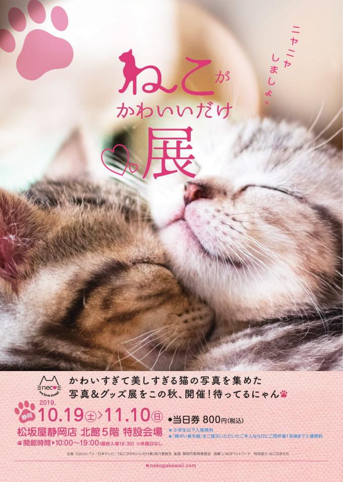 イメージ1