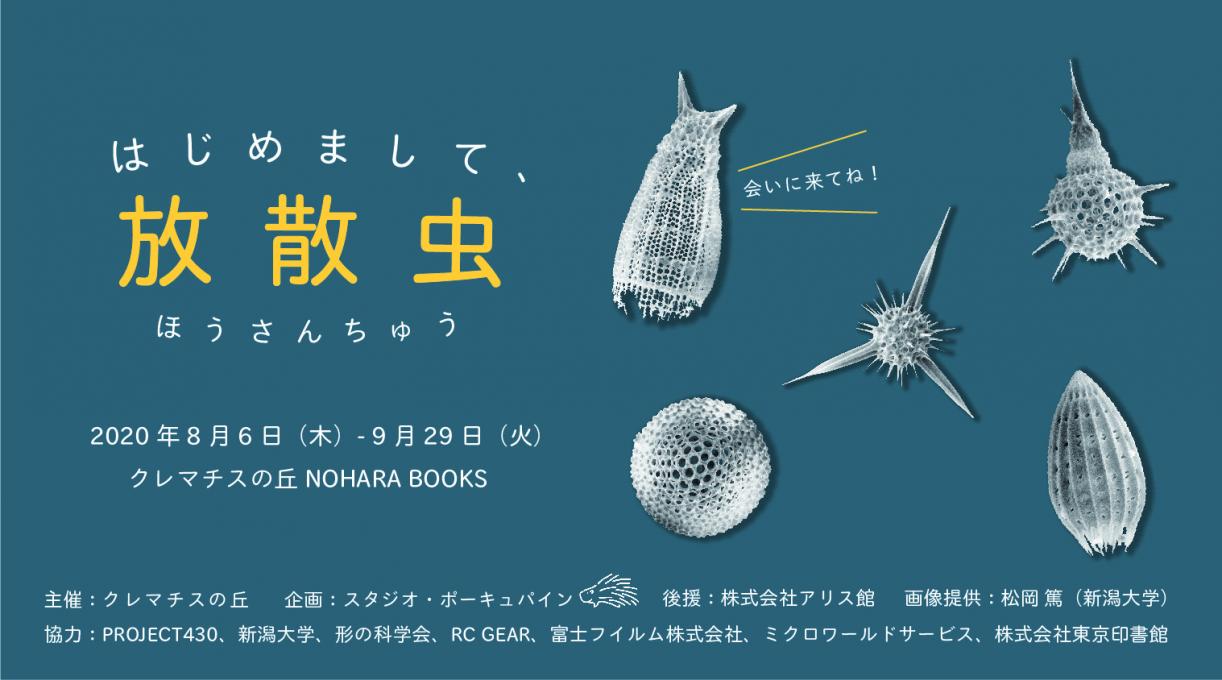 イメージ1