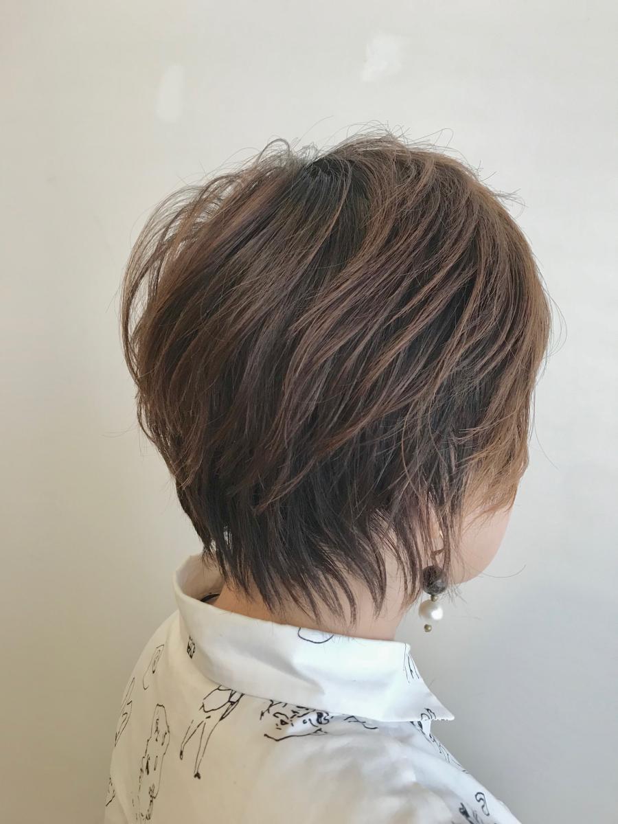 カタログのイメージ