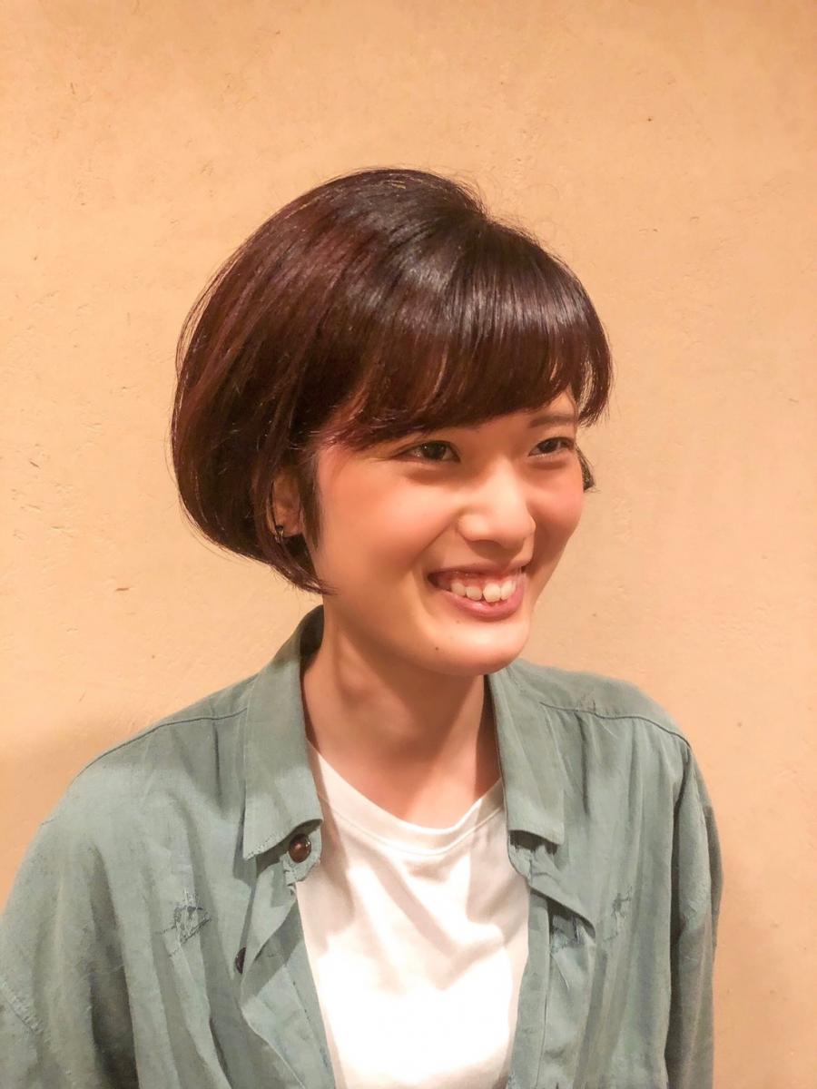 カタログのイメージ