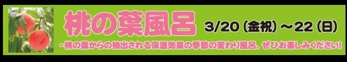 イメージ1