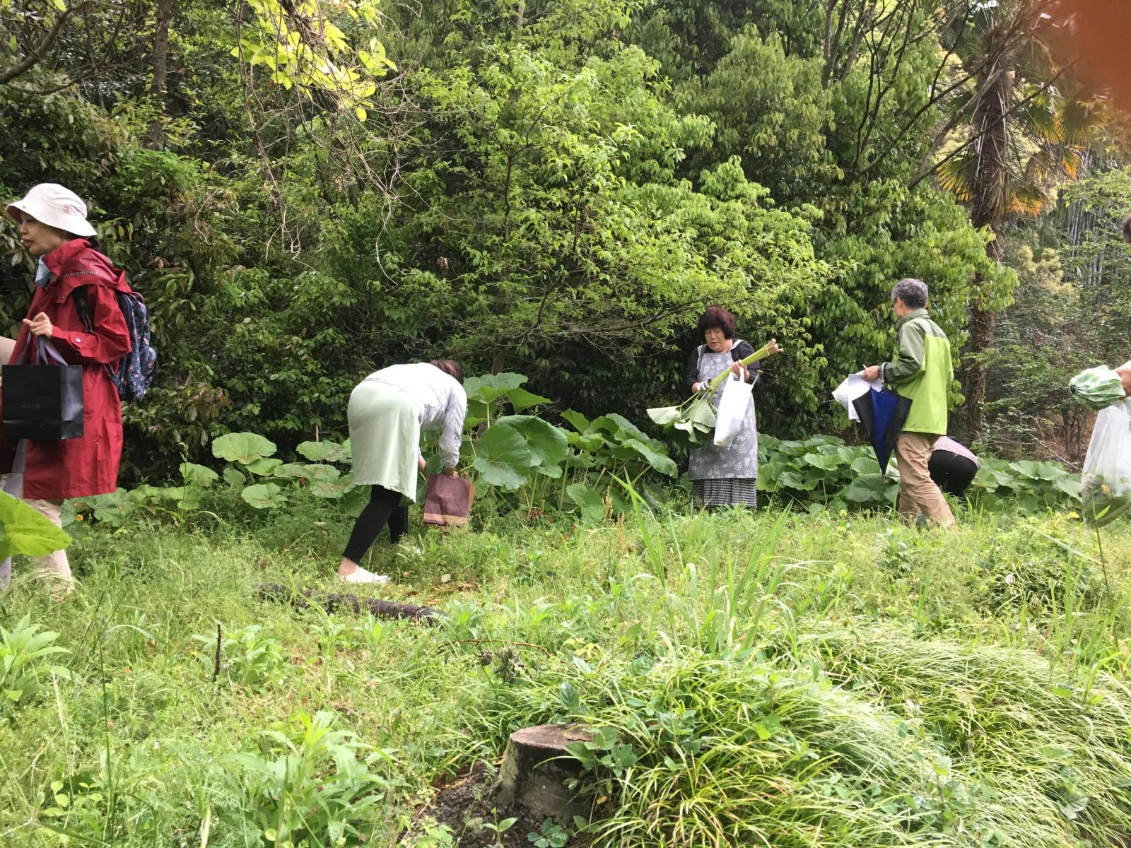 ここにいこ in 鈴木邸【駿河 東海道おんぱく2020】イメージ1
