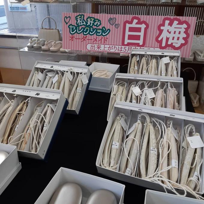 イメージ1