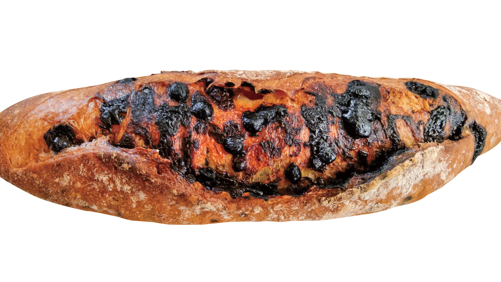 55BREADイメージ1