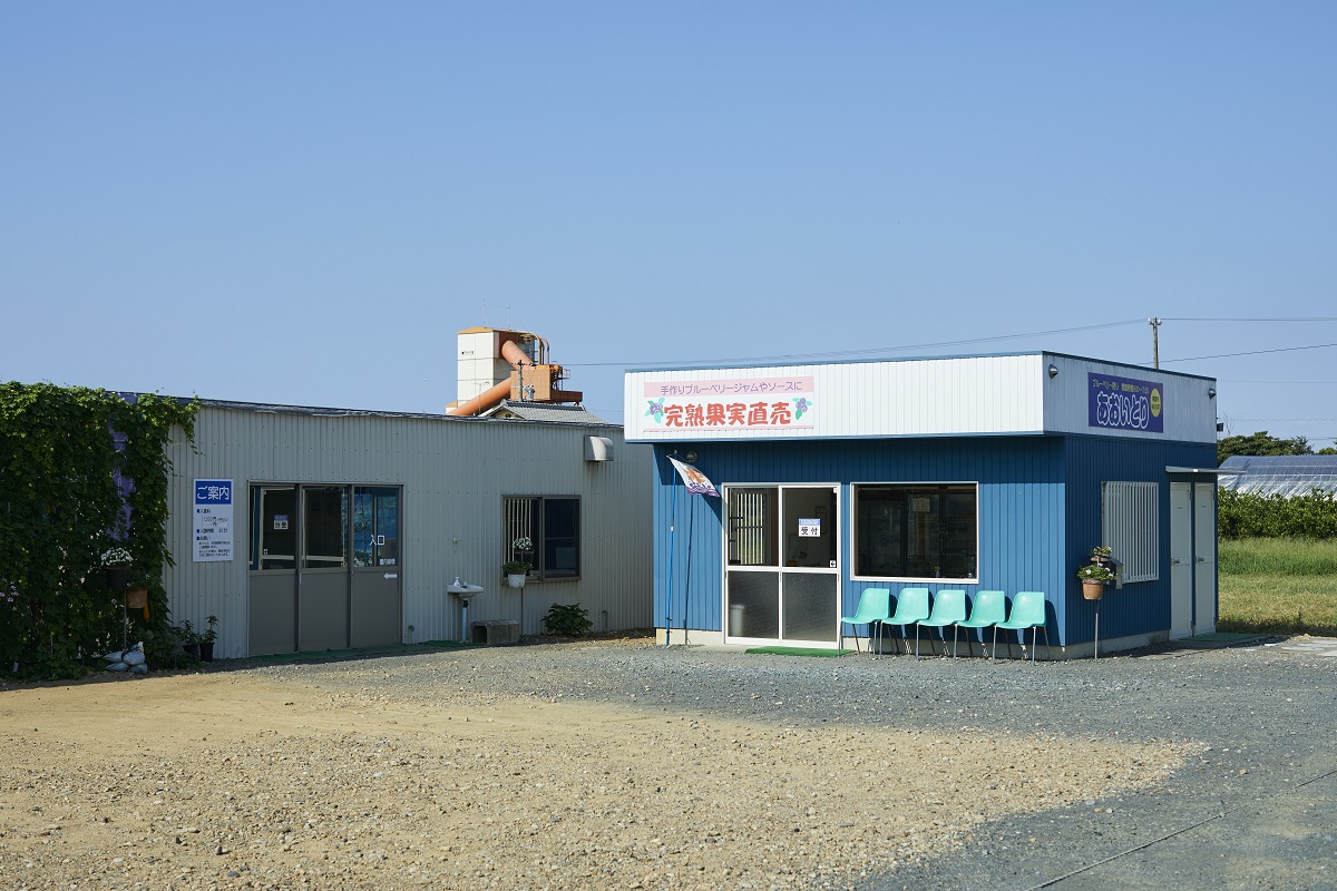 あおいとり(佐藤農園)イメージ1