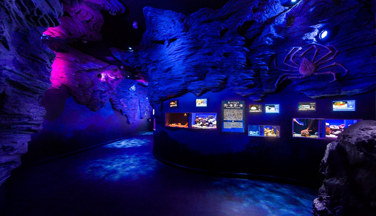 沼津港深海水族館 シーラカンス・ミュージアムイメージ1