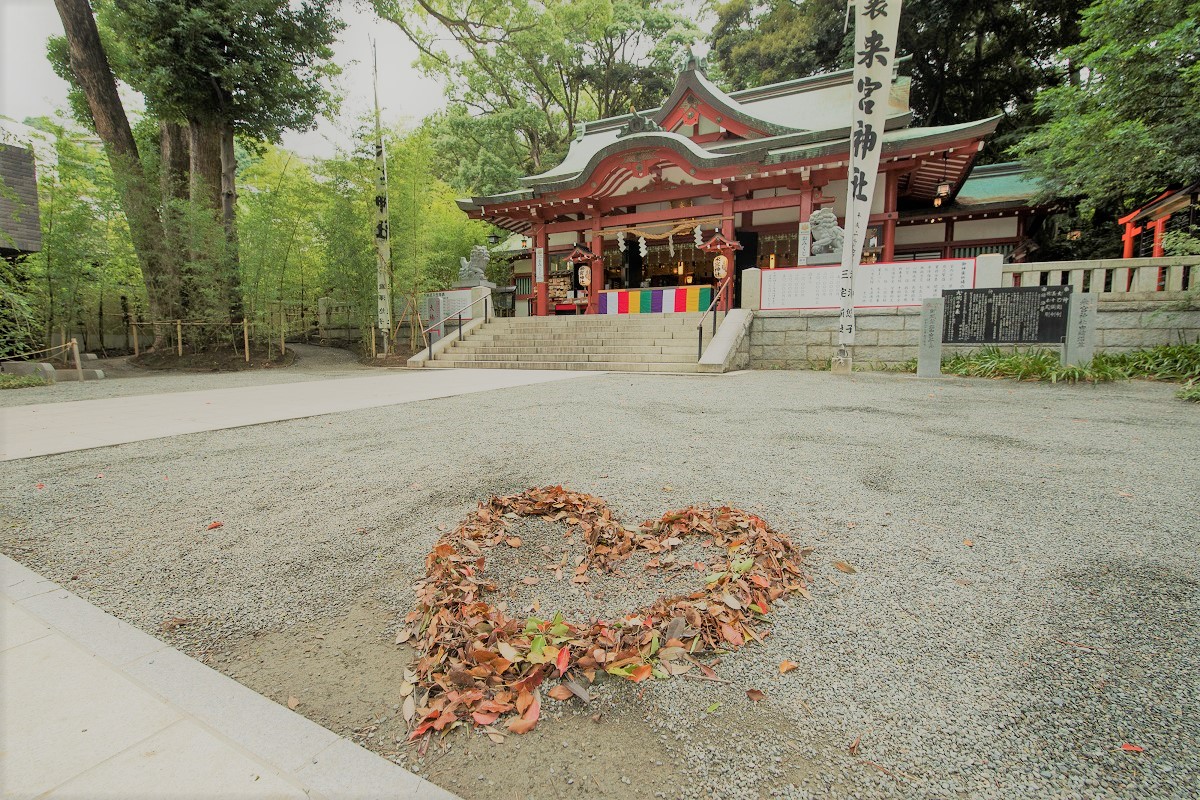 來宮神社イメージ1